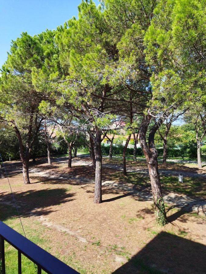 Appartamento Doppi Bagni Sei Posti Letto Viverone Eksteriør bilde
